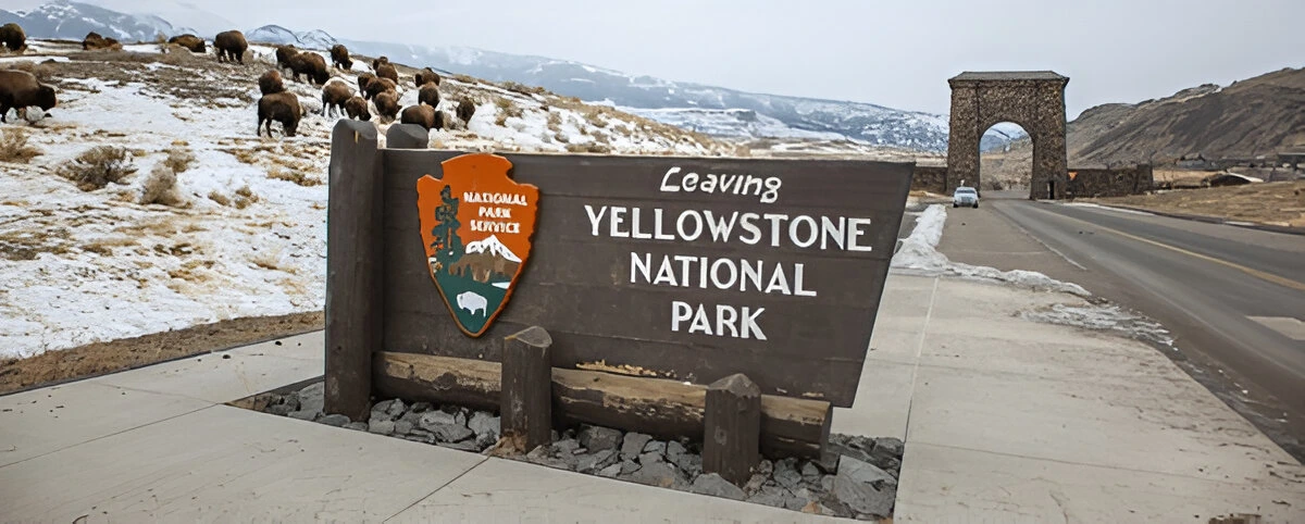 Yellowstone in Winter